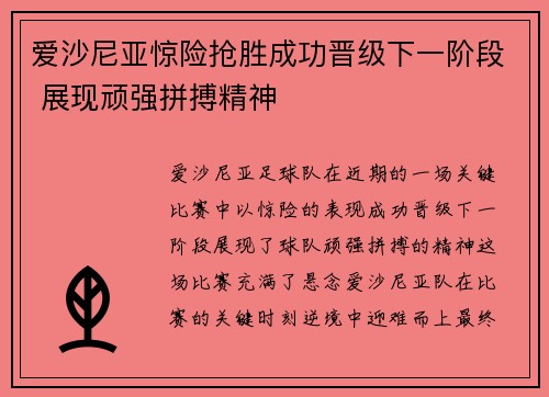 爱沙尼亚惊险抢胜成功晋级下一阶段 展现顽强拼搏精神