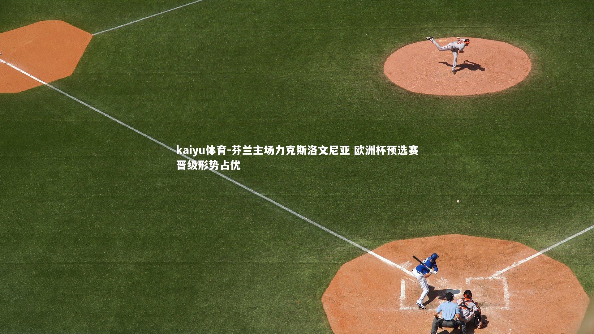 芬兰主场力克斯洛文尼亚 欧洲杯预选赛晋级形势占优