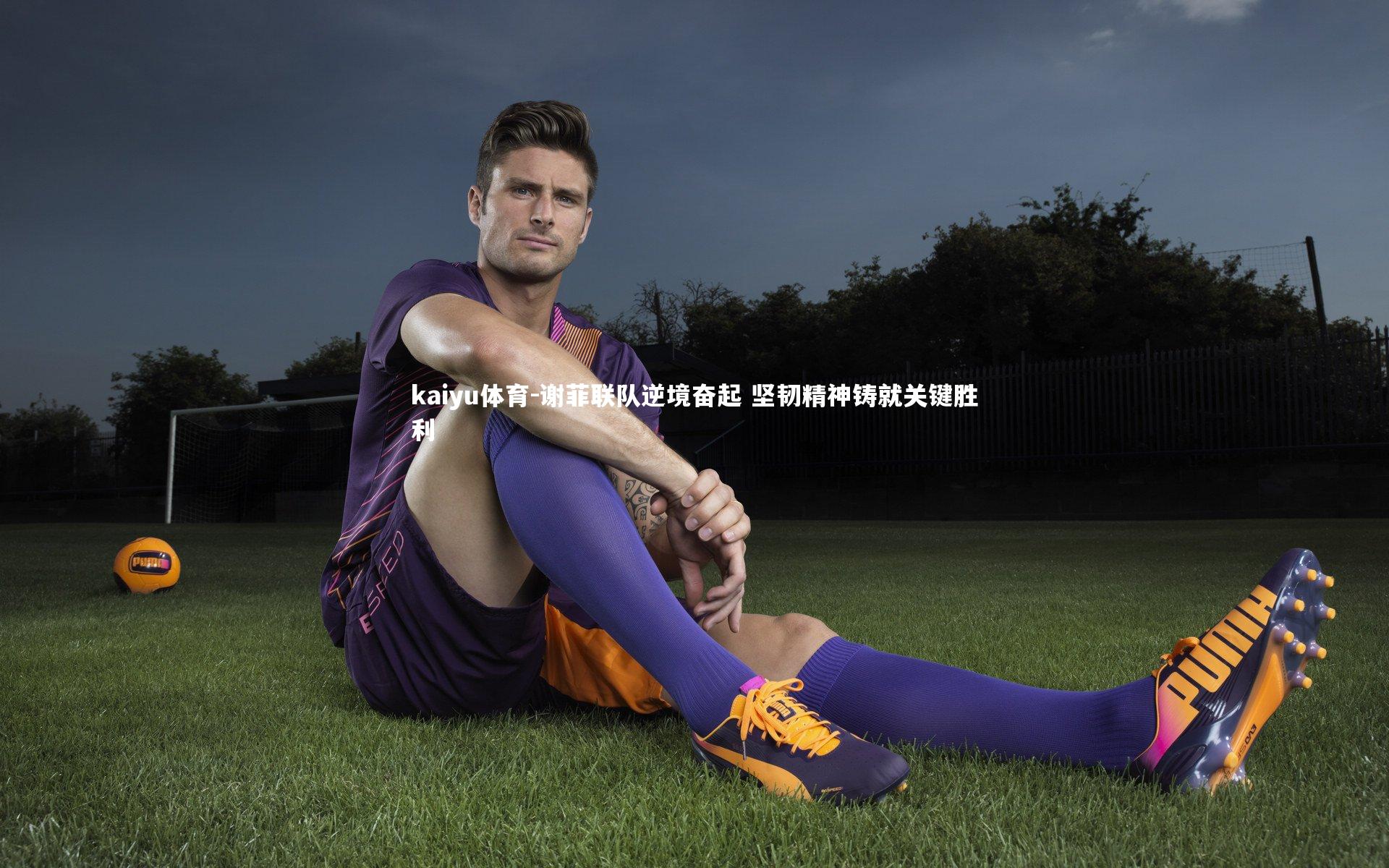 谢菲联队逆境奋起 坚韧精神铸就关键胜利